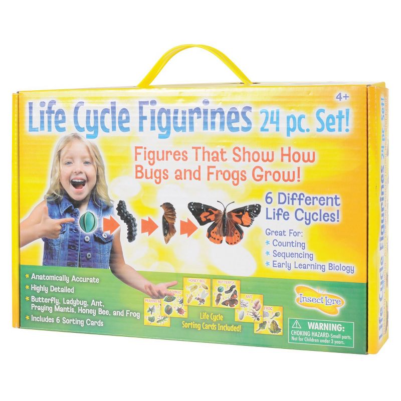 Insect Lore Products Life Cycle Figurines - 24 Pieces