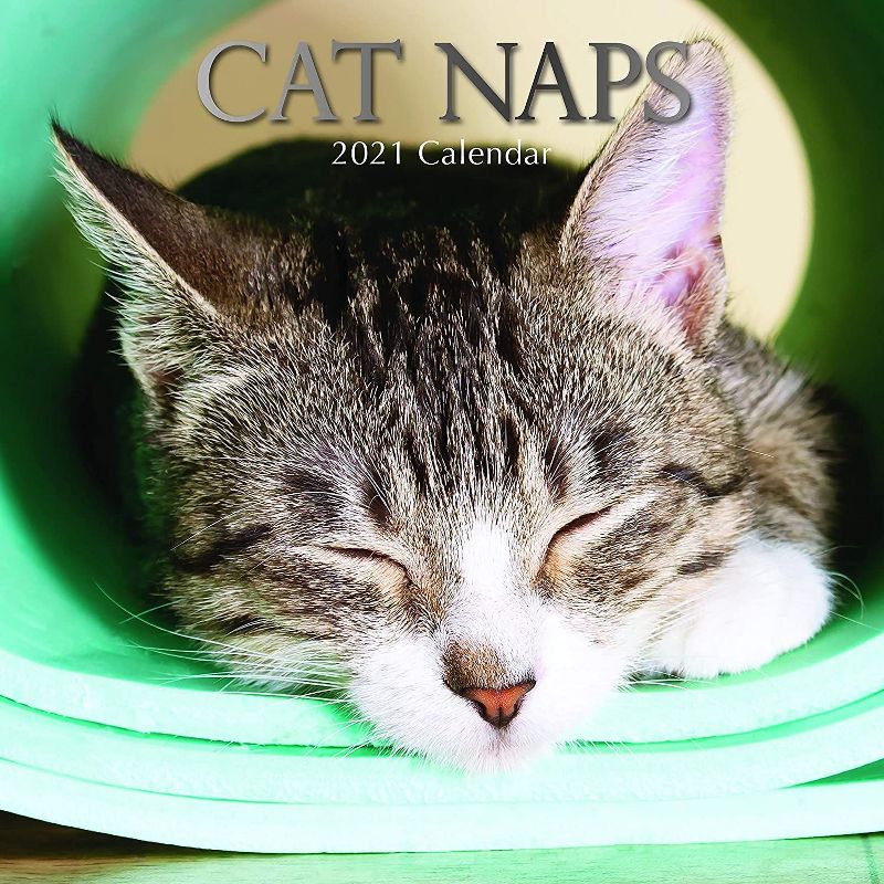 Sellers Publishing, 2021 Outlander 16-Month Wall Calendar