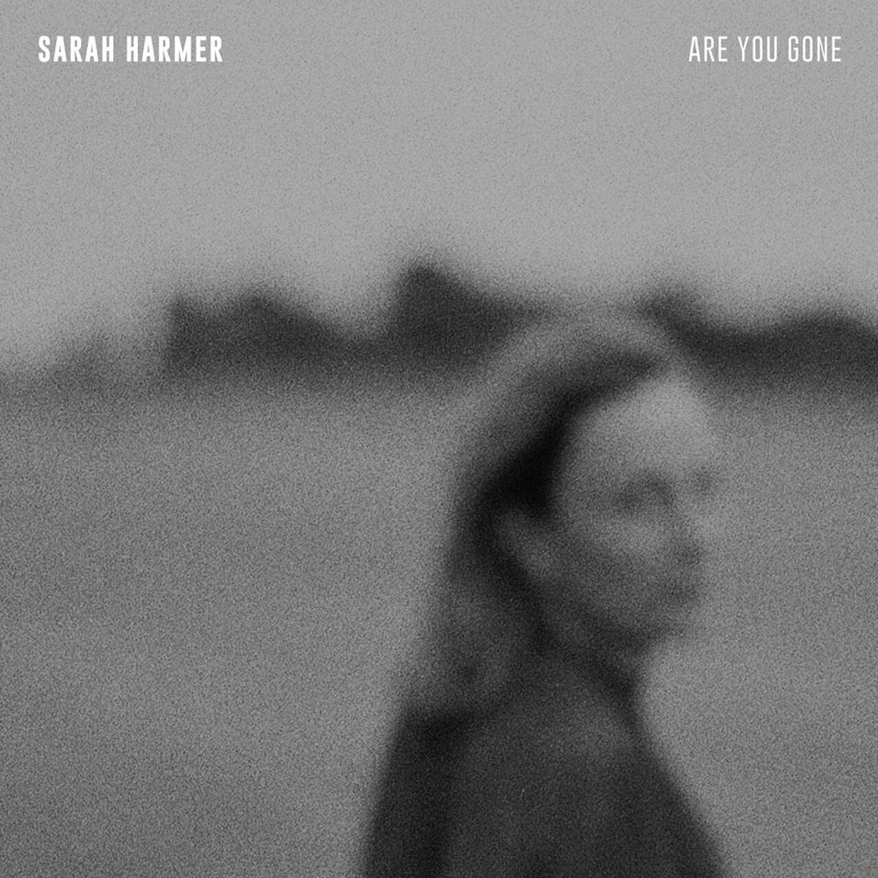 Sarah Harmer Are You Gone LP (Vinyl)