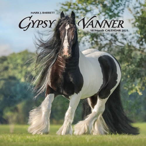 2021 Gypsy Vanner Horse Wall