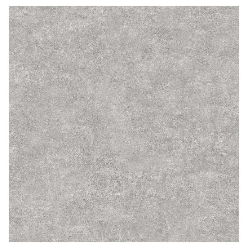 Devine Color Textured Concrete Peel & Stick Wallpaper Gray