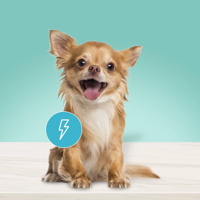 Blue Buffalo True Solutions Small & Mighty Small Breed Wet Dog Food - 5.5oz