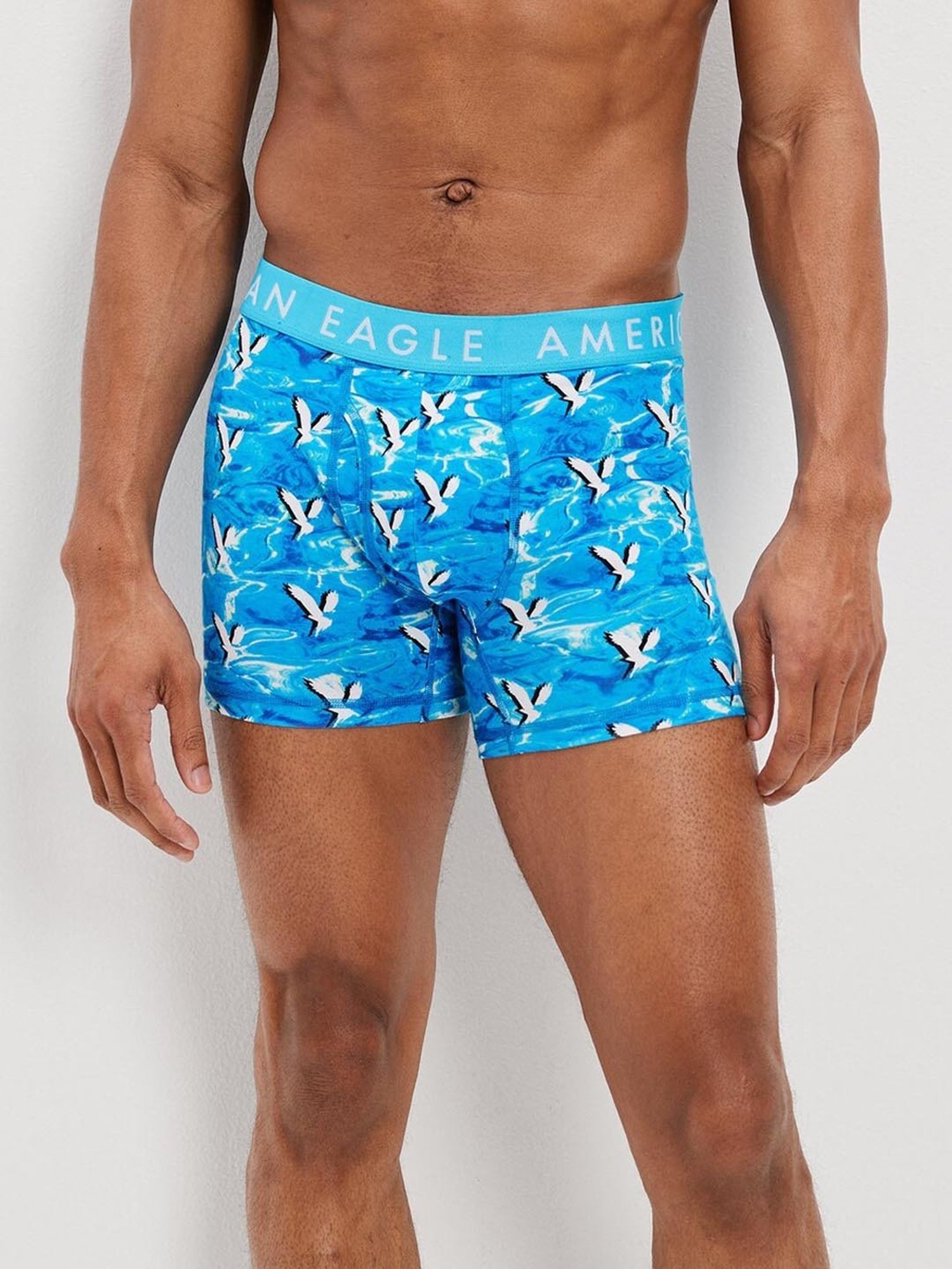 American Eagle Blue Cotton Regular Fit Printed Trunks