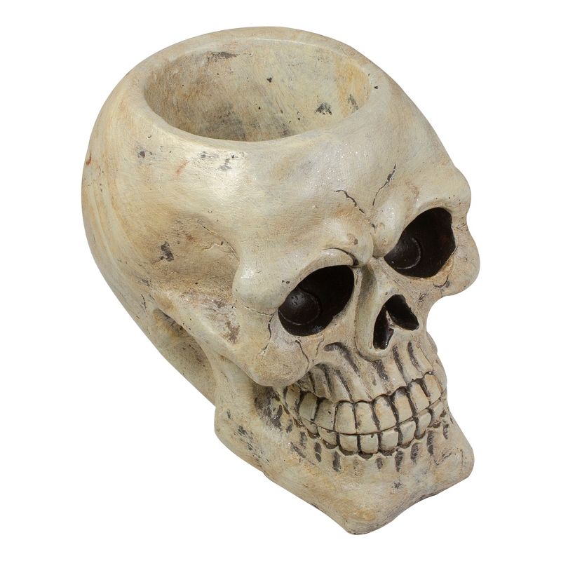 Northlight 3.5" Skeleton Skull Heads with Open Mouths Halloween Decorations 6ct - White/Gray