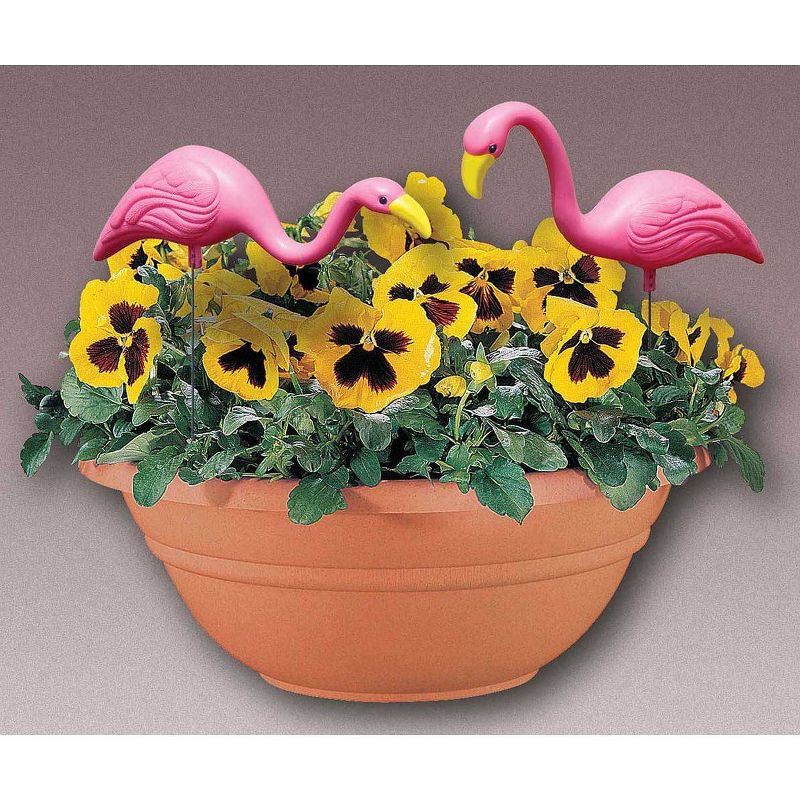 2pk - 11" Mini Mingo - Bloem