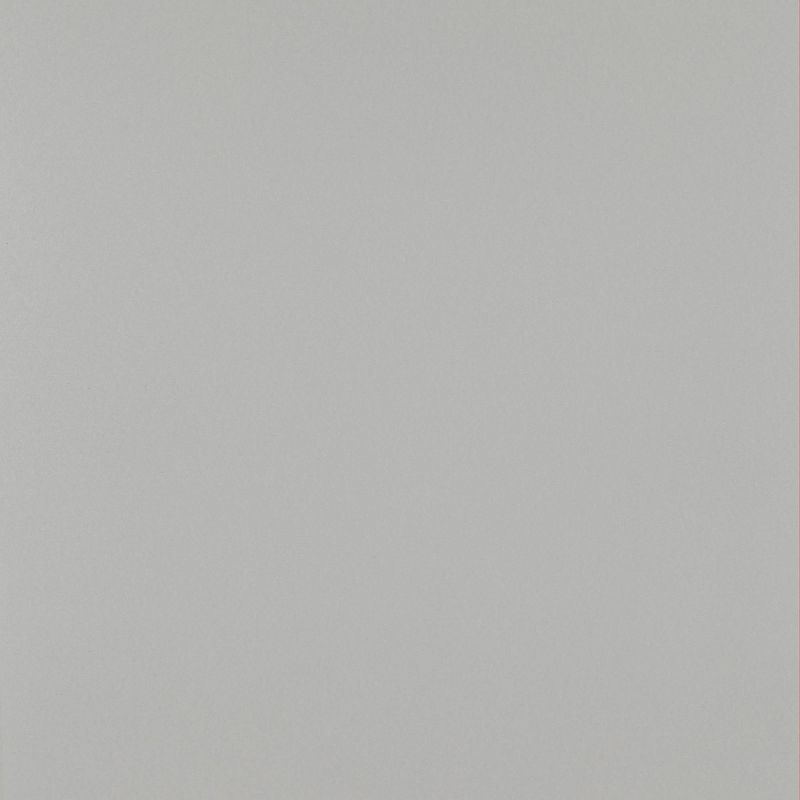 Legacy by Child Craft Toddler Guard Rail for Westgate Crib