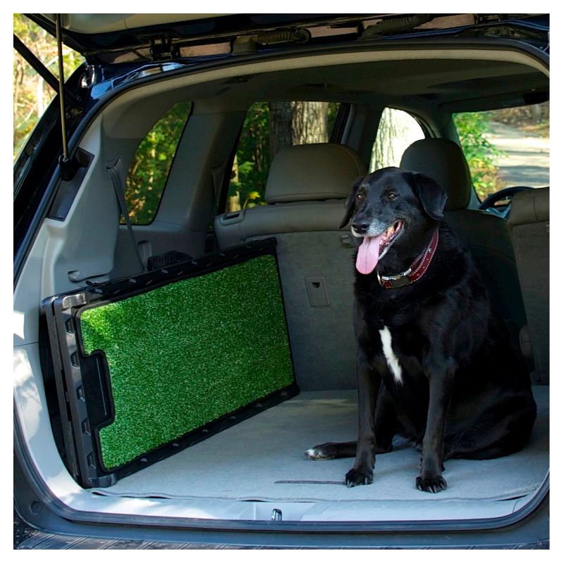 Gen7Pets Natural-Step Pet Ramp