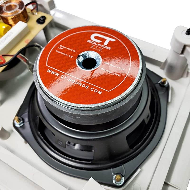 2Bio 525quot LCR inWall Home Audio Speaker | 80W RMS | 160W MAX | 12 Ohm Impedance PowerSpeaker | Rotatable SilkDome Tweeter with Rectangular Protection Panel | Theater Speaker