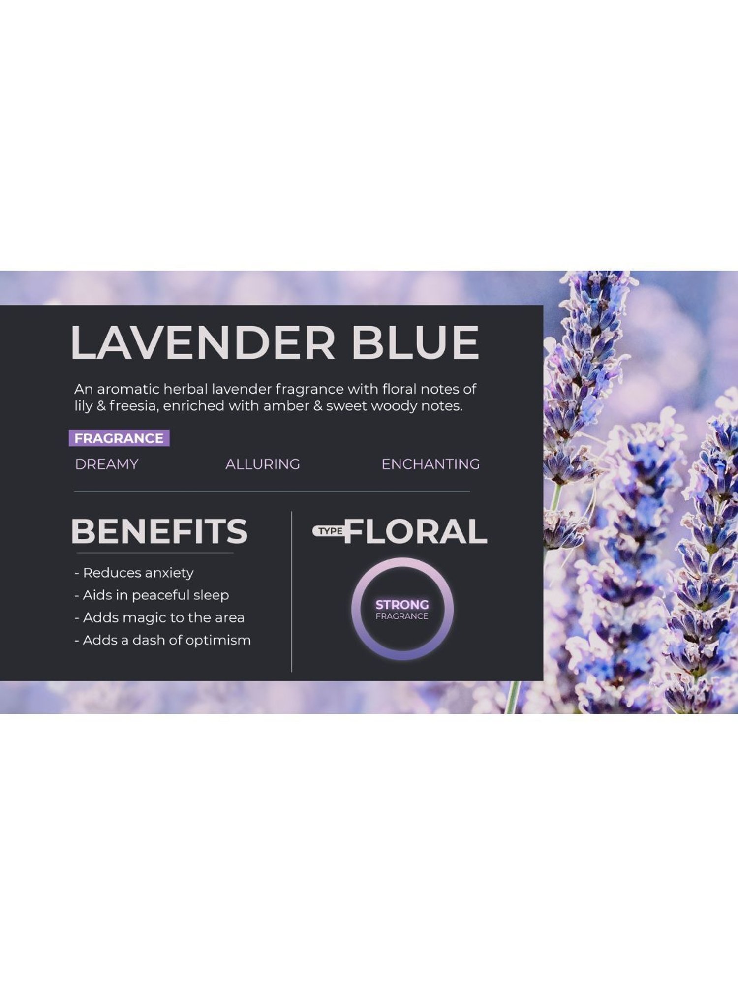 Rosemoore Reed Diffuser set with aroma oil & reed stick Lavender blue - (200 ml)