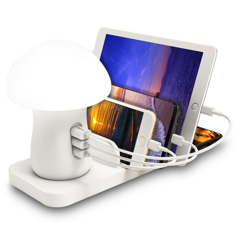 Trexonic 3-in-1 Desk Organizer with Wireless Charging Station and Reading Light