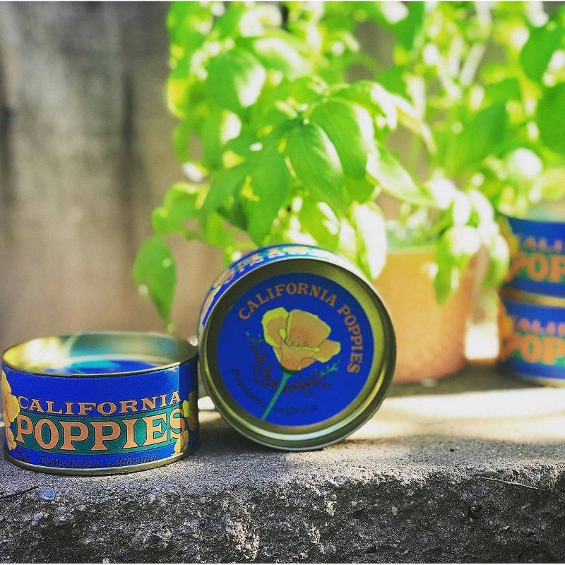 2pk California Poppy Seed Grow Kit - The Jonsteen Company