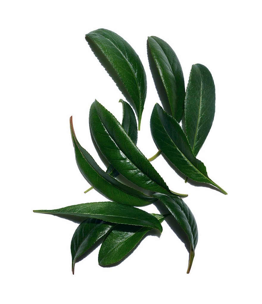 Clarins Renew-Plus Body Serum Age-Defying Concentrate