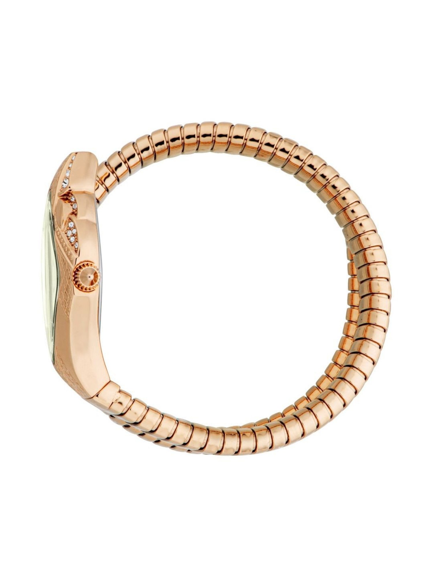 Just Cavalli JC1L306M0055 Ferocious Analog Watch for Women