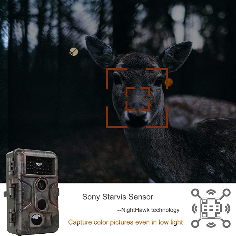Game & Deer Trail Camera with 100ft Night Vision 20MP Photo 1080P H.264 MP4 Video 0.1S Trigger Motion Activated Waterproof for Outdoor Wildlife Hunting & Home Security Surveillance