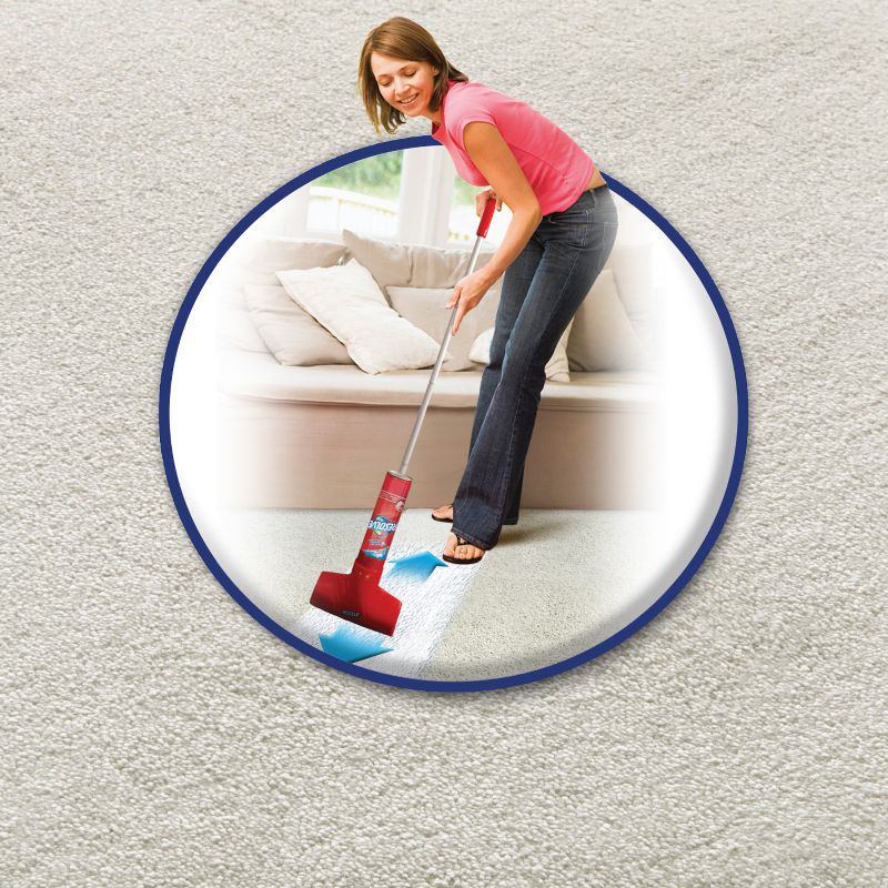 BISSELL 22 floz Oxy Stain Destroyer Pet For Carpet and Upholstery