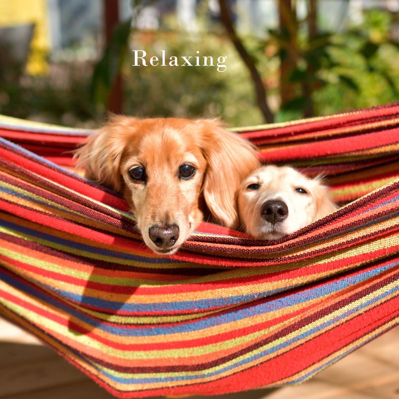 Hastings Home Double Brazilian Hammock with Stand