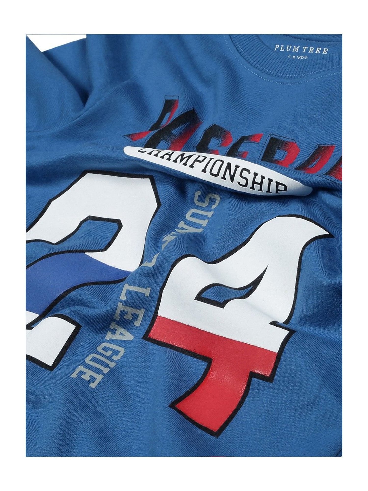 Plum Tree Kids Blue Printed  Sweatshirt