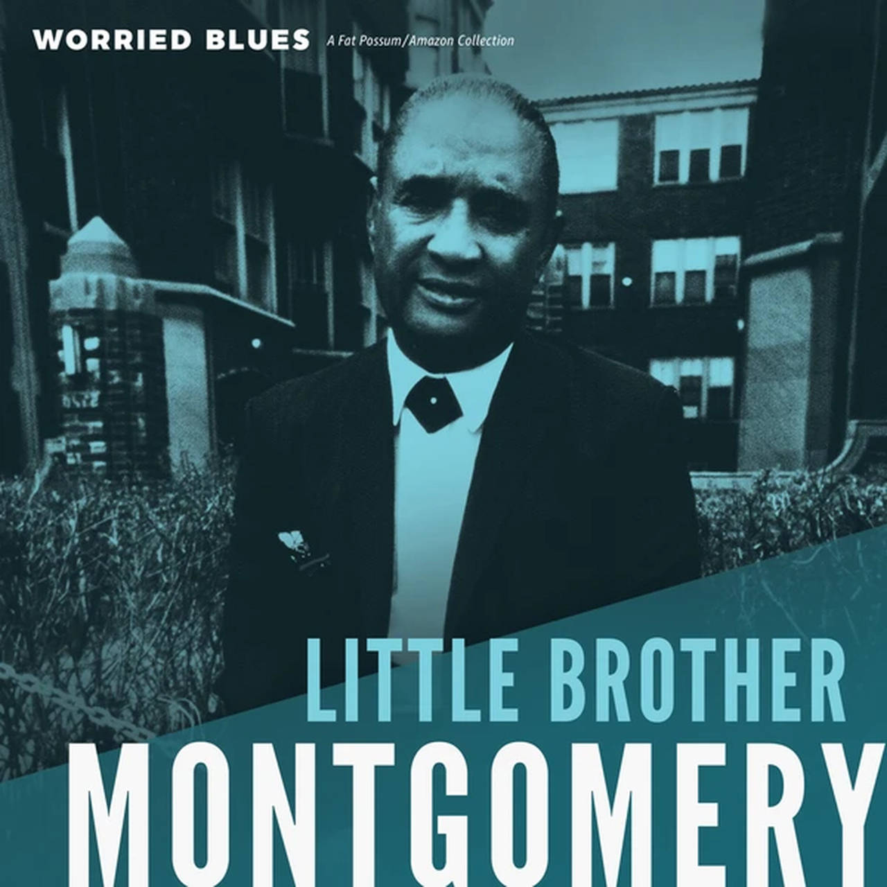 Little Brother Montgomery Worried Blues LP (Vinyl)