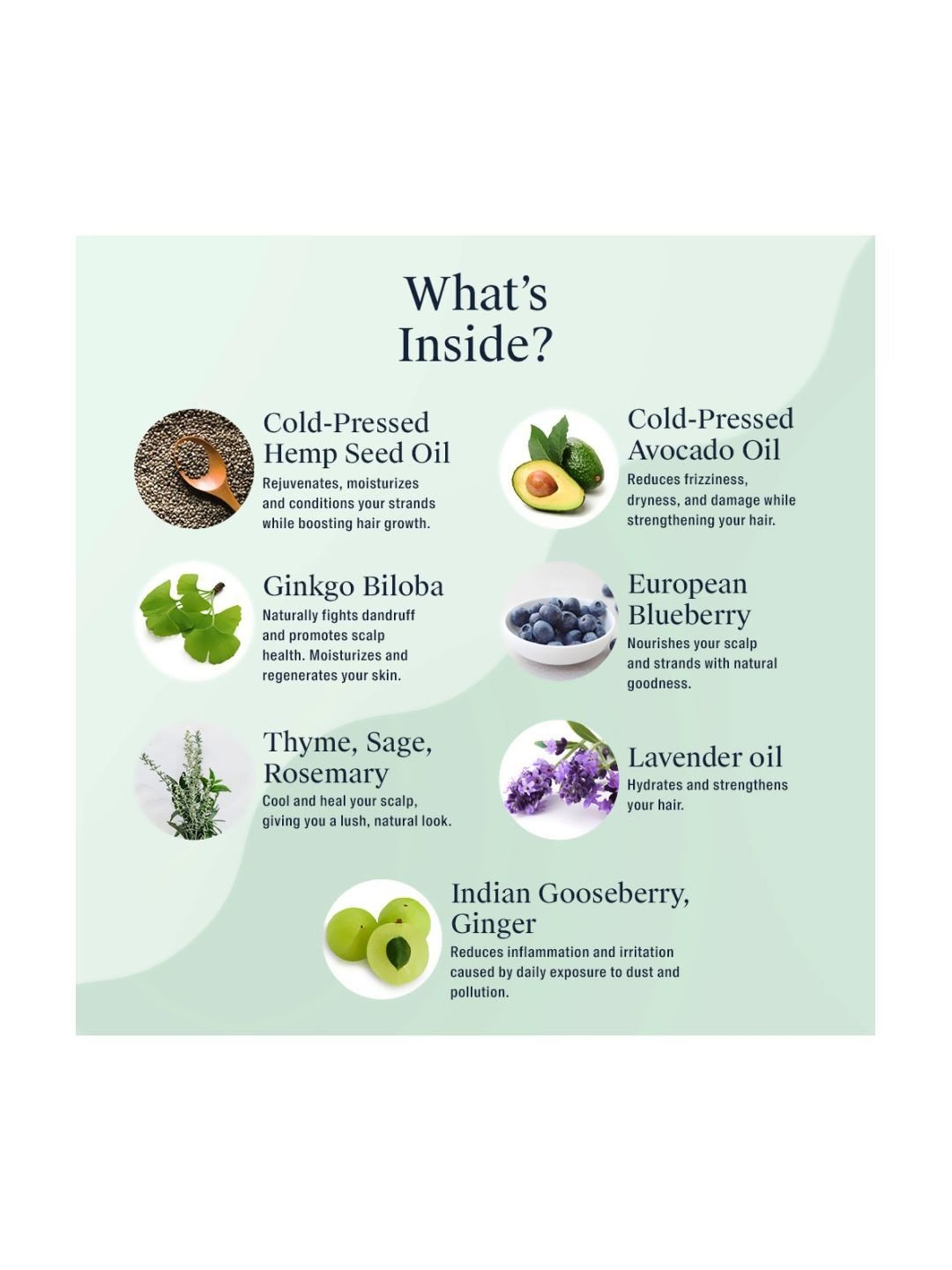 Arata Complete Hair Care Daily Scalp Therapy Gift Box - 700 ml