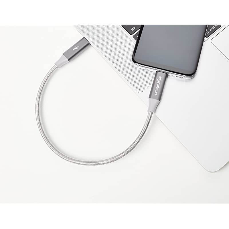 Double Braided Nylon USBC to USBC 31 Gen 1 Cable with Power Delivery 5 Gbps | 1 foot Silver