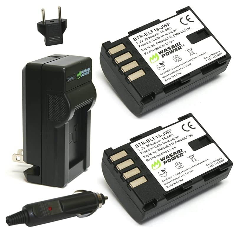 Battery 2Pack and Charger for Panasonic DMWBLF19 and Panasonic Lumix DMCGH3 DMCGH4