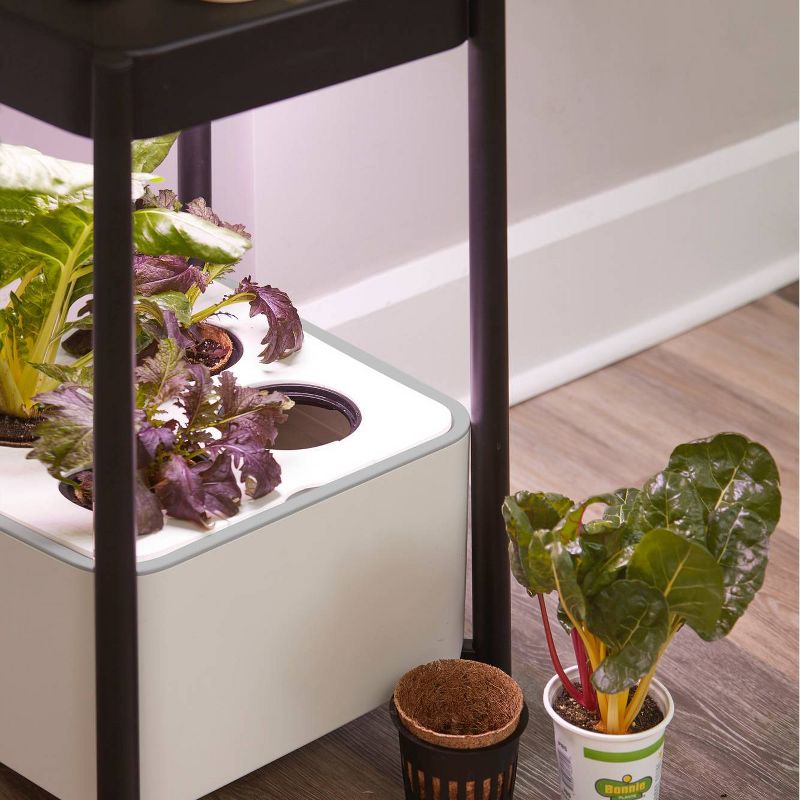 Miracle-Gro Twelve Transplanting Kit