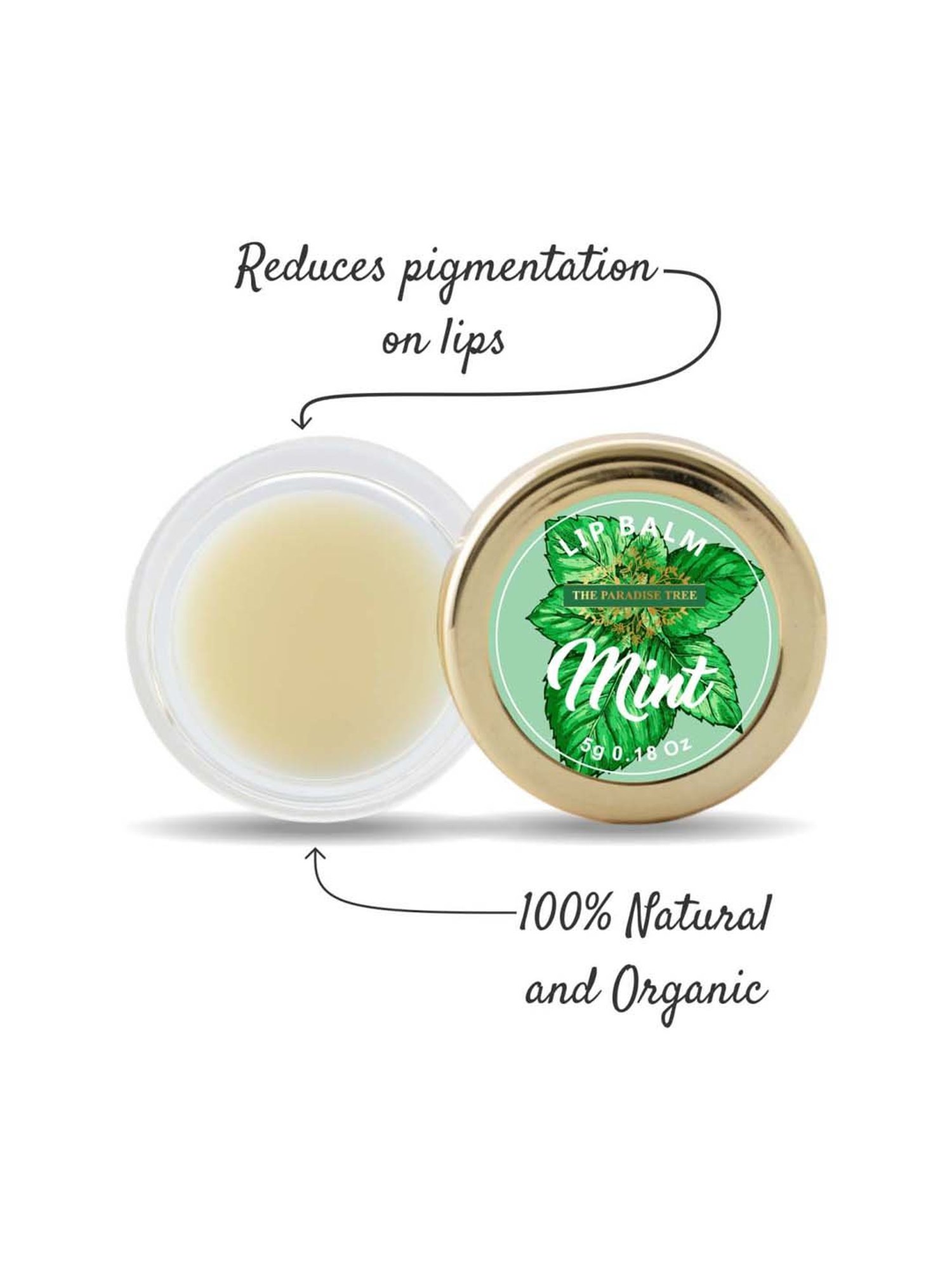The Paradise Tree Mint Lip Balm - 5 gm