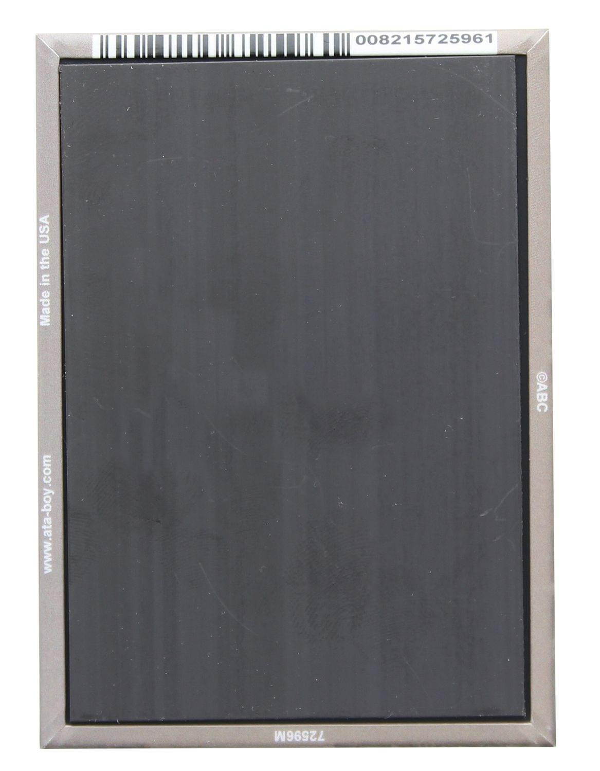 The Golden Girls Dorothy Pray For Brains 2.5 x 3.5 Inch Magnet