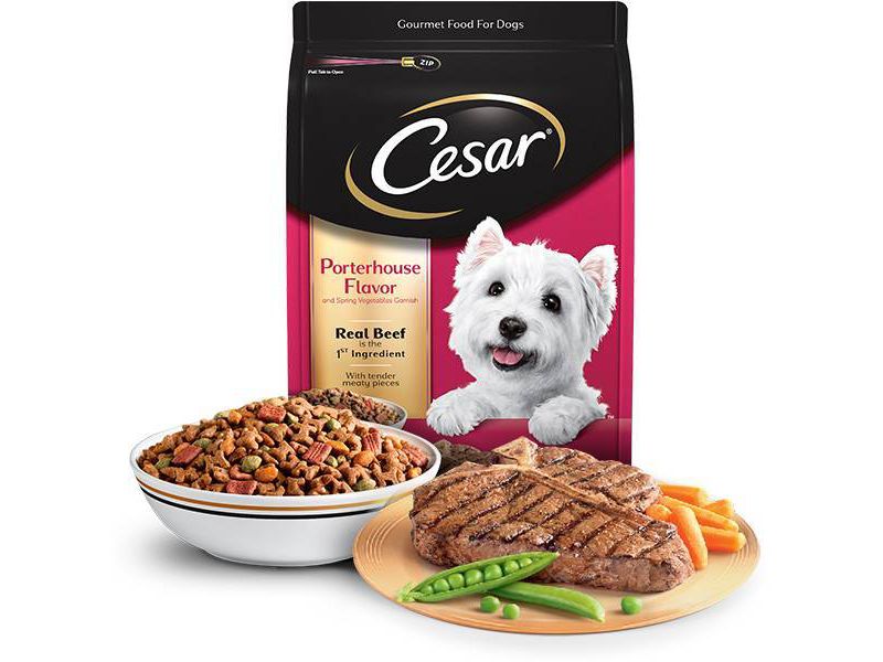 Cesar Porterhouse Flavor Gourmet Dry Dog Food - 5lbs