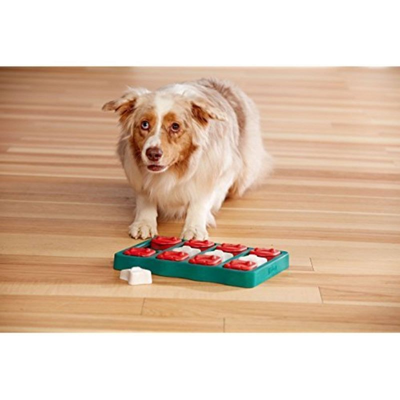 Outward Hound Nina Ottosson Brick Interactive Puzzle Game Dog Toy