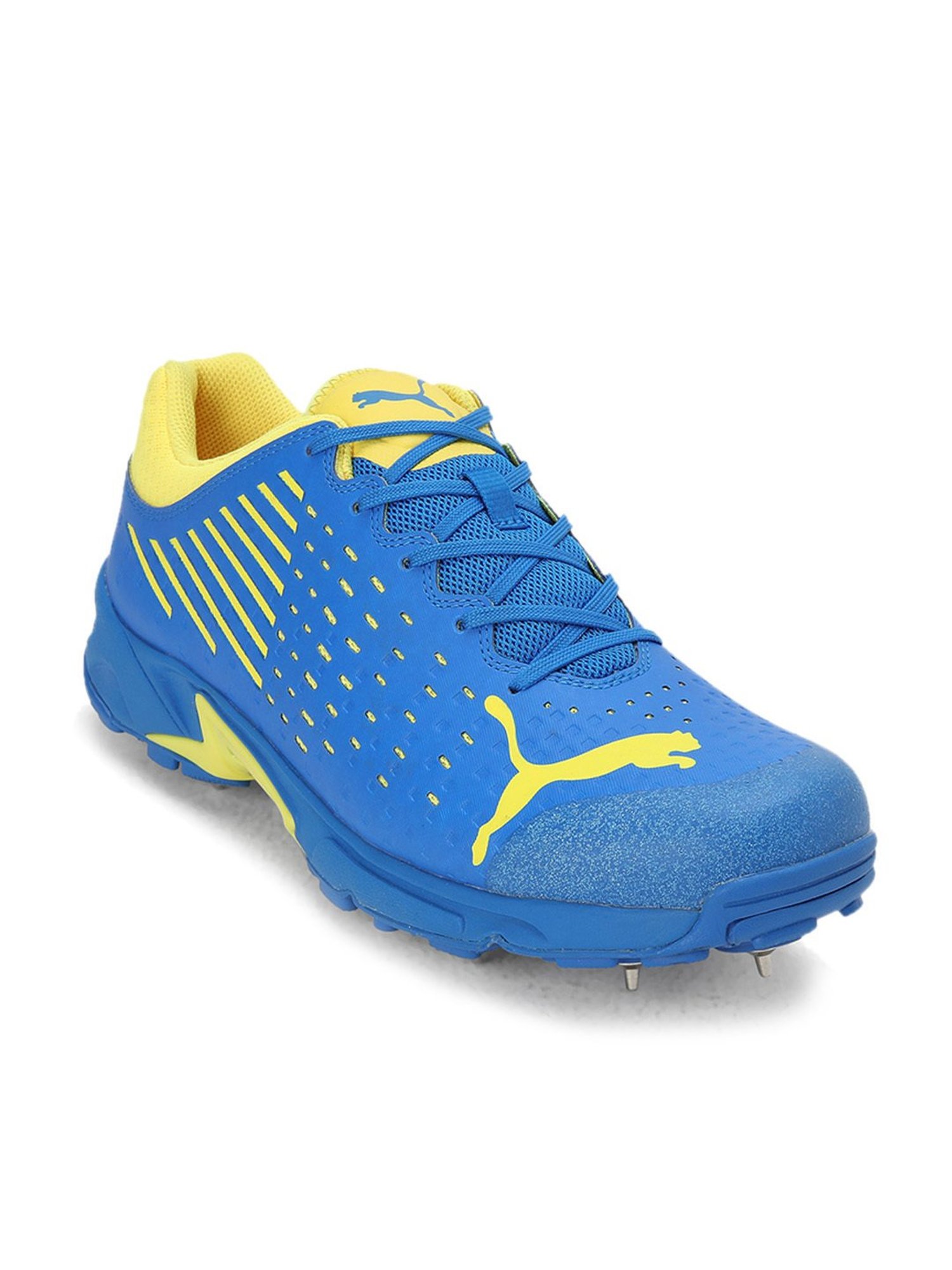 Puma Men's Spike 22.1 Blue Cricket Shoes