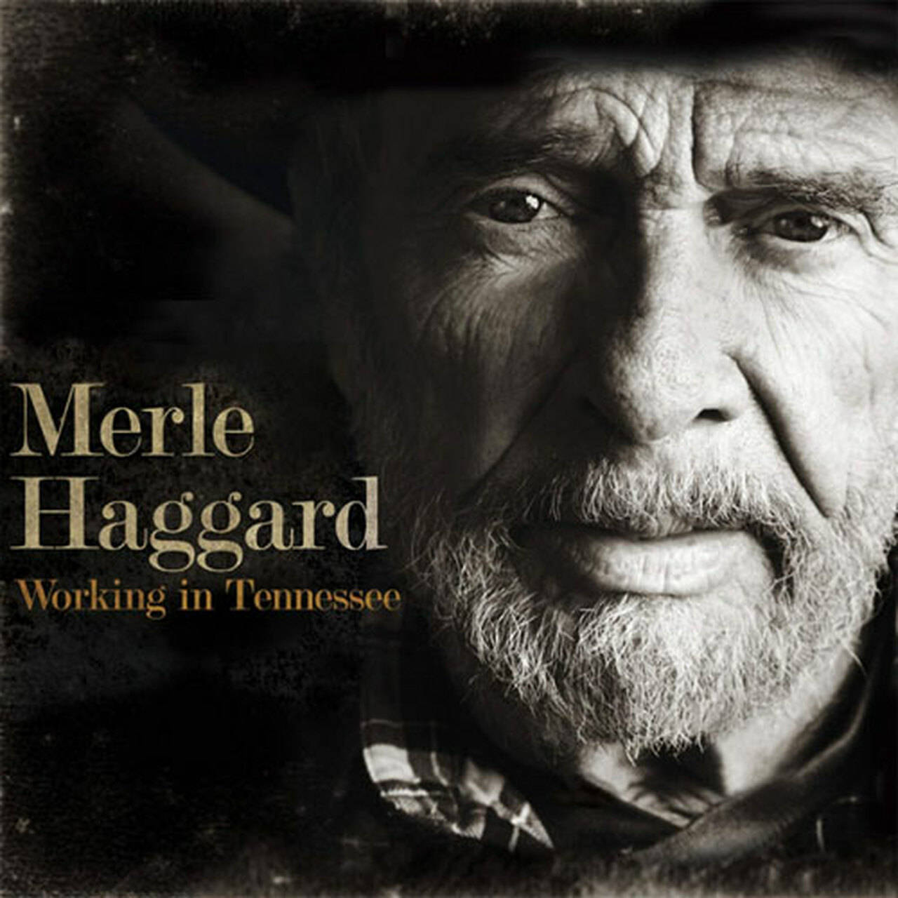 Merle Haggard Working In Tennessee LP (Vinyl)