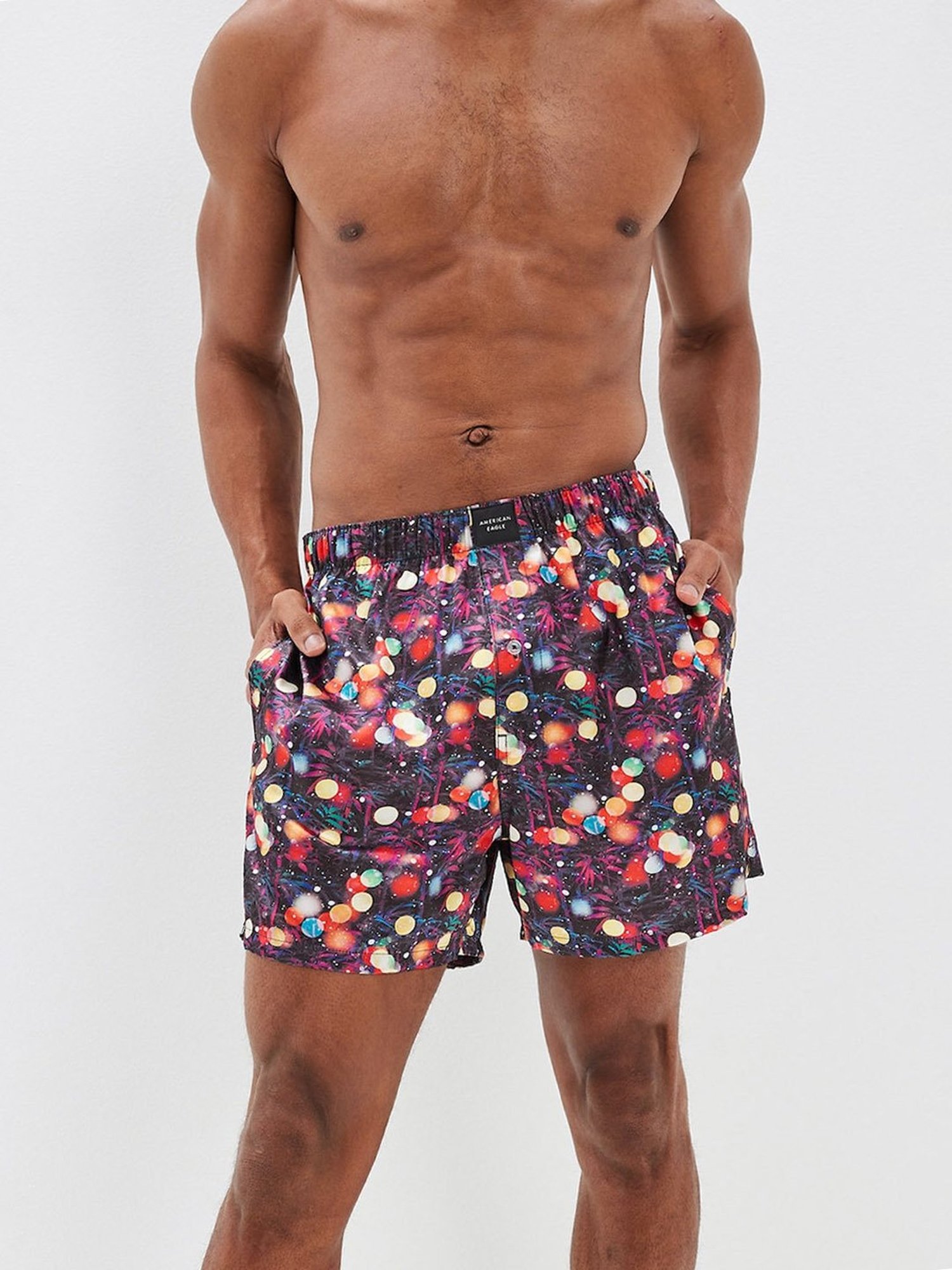 American Eagle Multi Regular Fit Printed Boxers