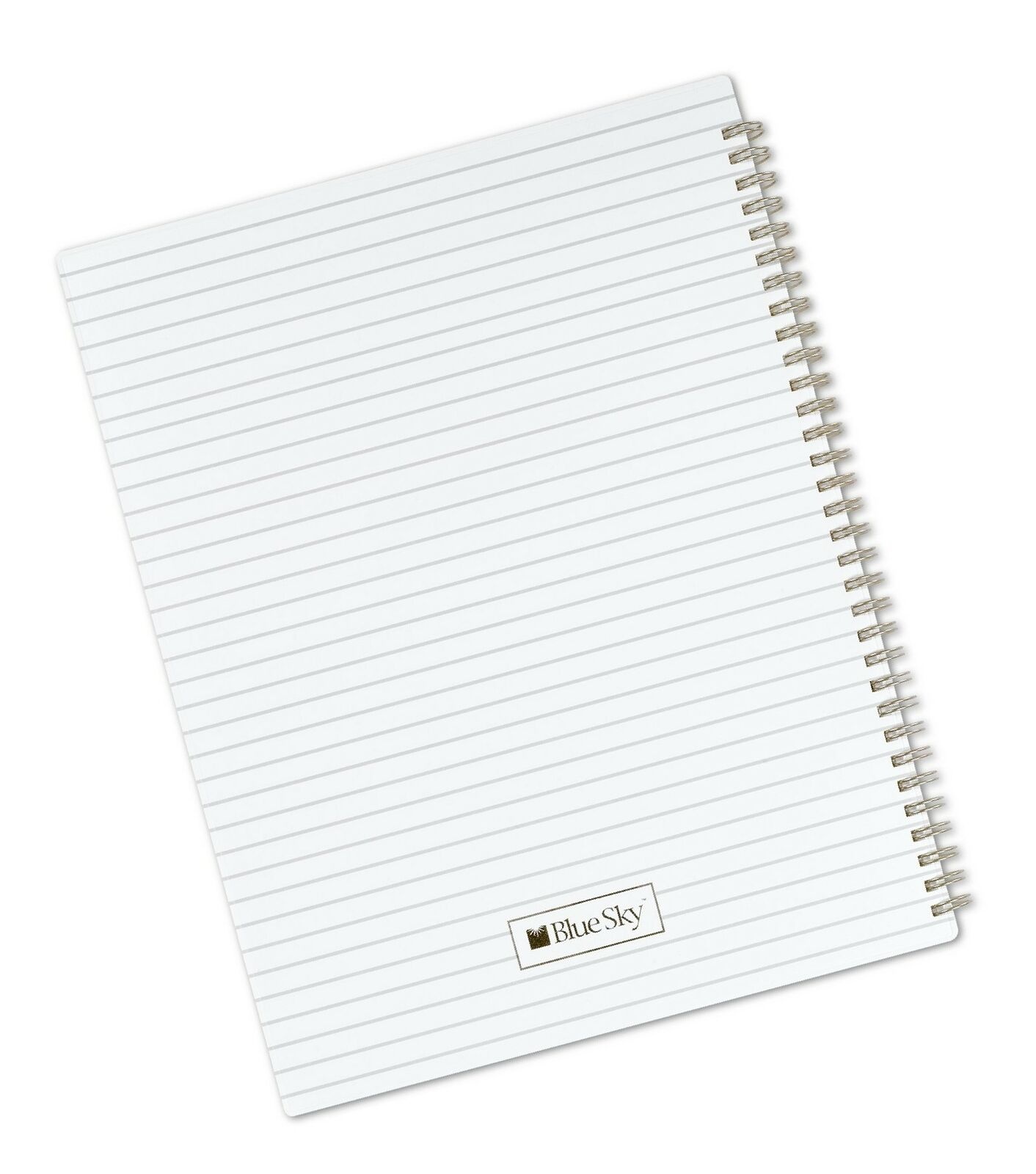 Blue Sky Noteworthy 2018-2019 Academic Year Weekly & Monthly Premium Planner,...