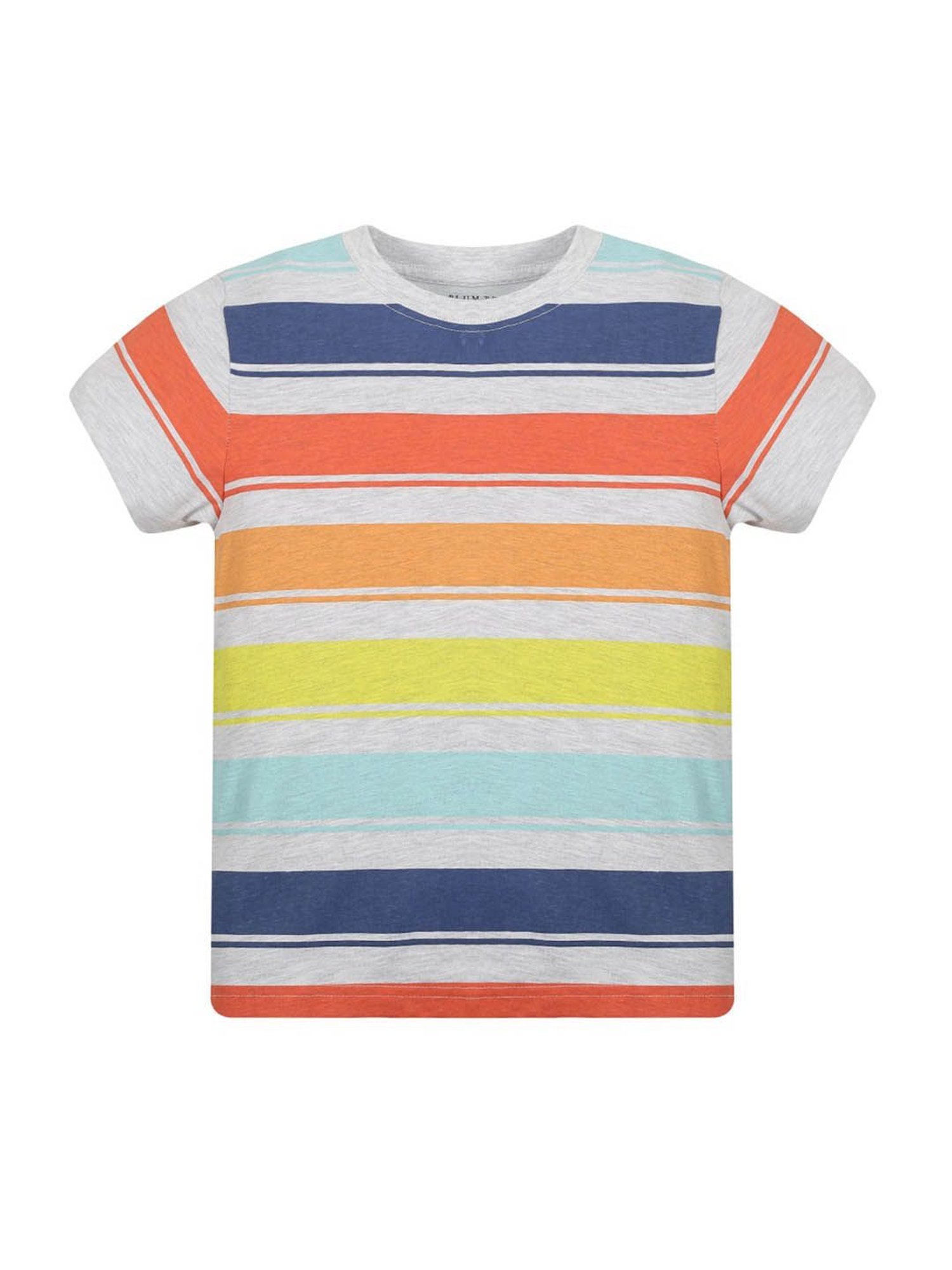 Plum Tree Kids Grey & Navy Printed T-Shirt (Pack Of 2)