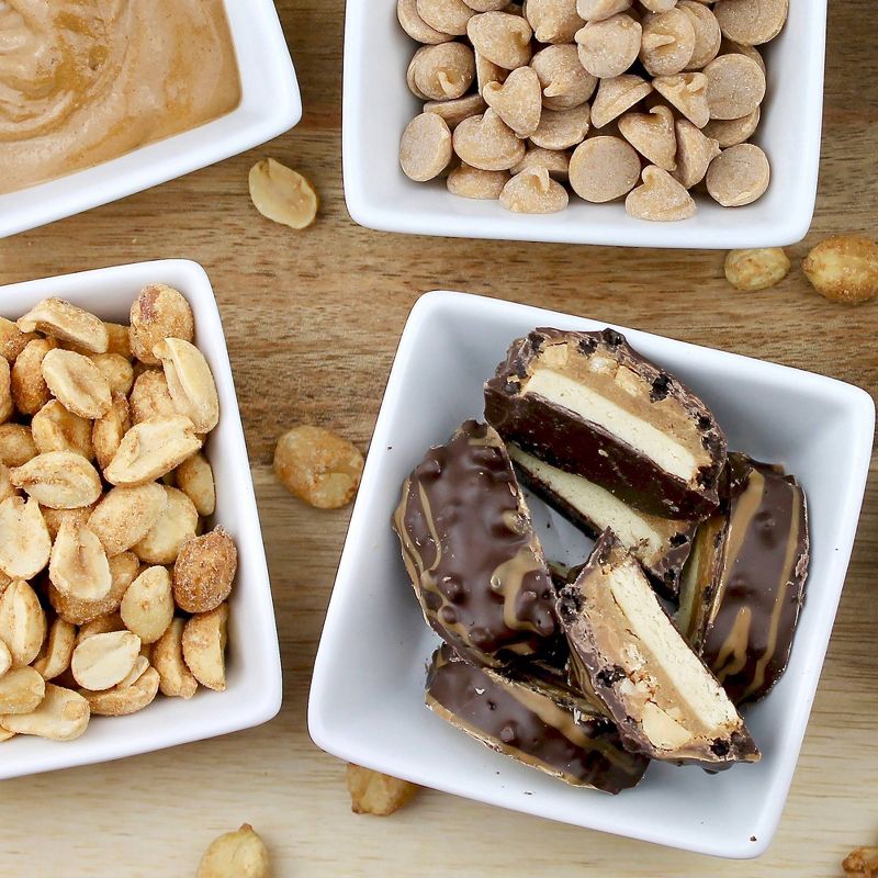 Vega Vegan Protein Shake - Chocolate - 12pk/11 fl oz Bottles