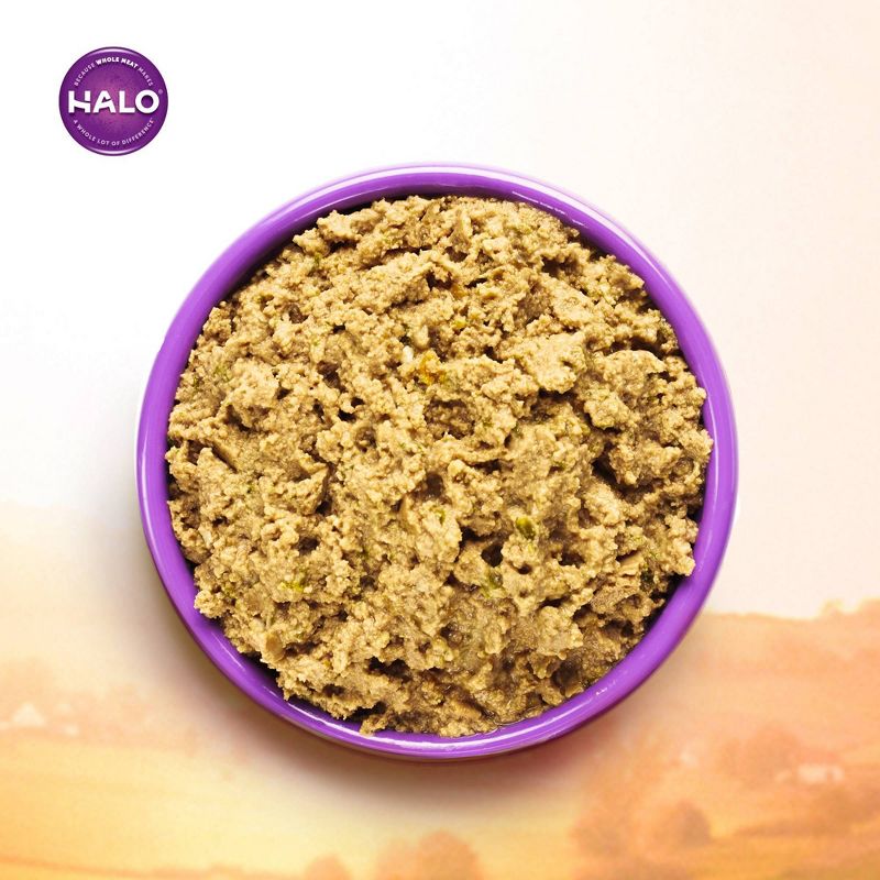 Halo Grain Free Indoor Paté Wet Cat Food Turkey & Duck Recipe - 12ct Pack