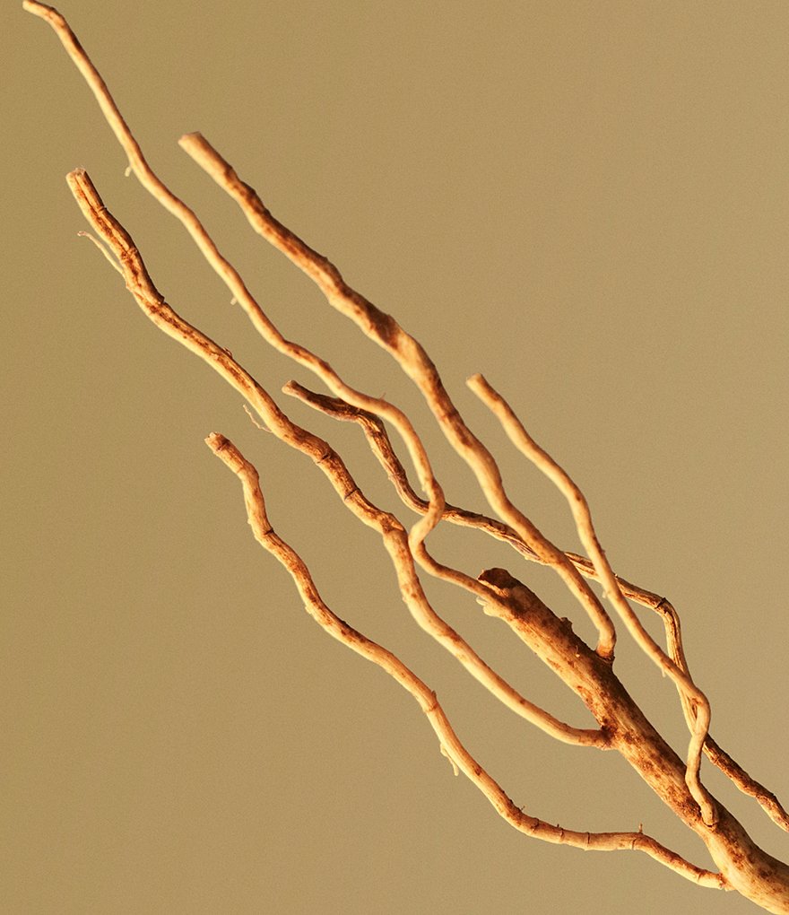 Viktor & Rolf Spicebomb Night Vision Eau de Toilette Pour Homme