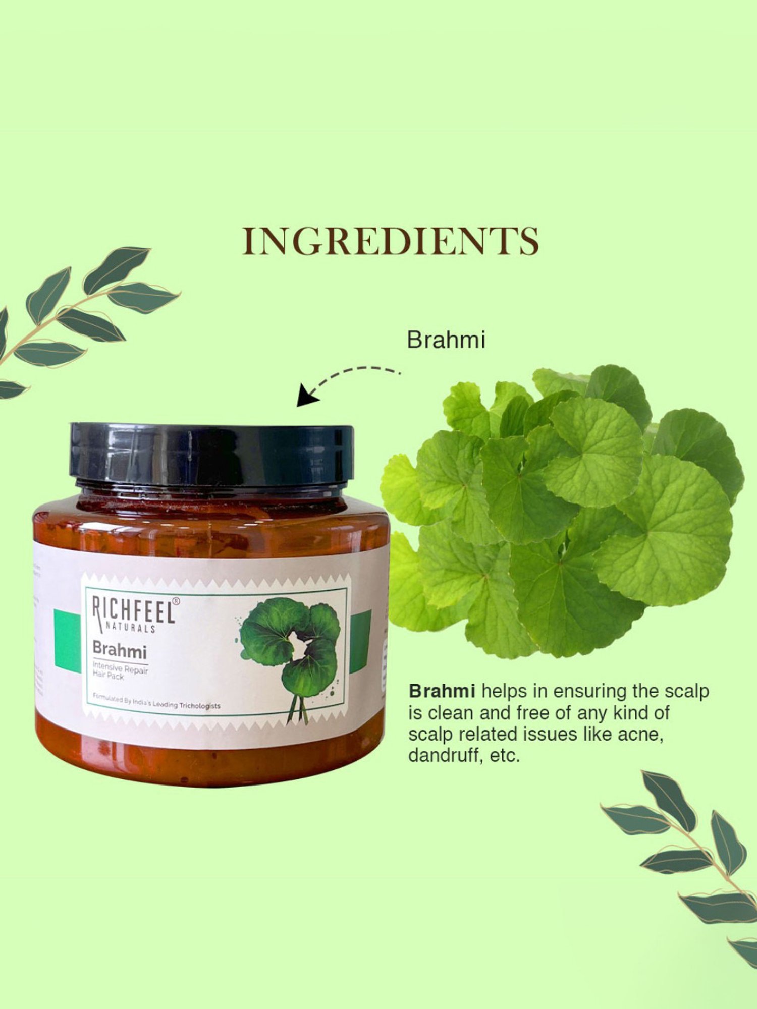 Richfeel Brahmi Intensive Repair Hair Pack (500 gm) - Pack of 3