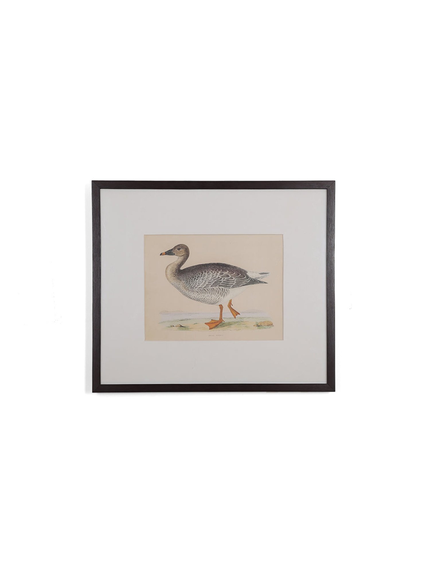 Home4U Cfo140069 Multicolor Ceramic Wall Art