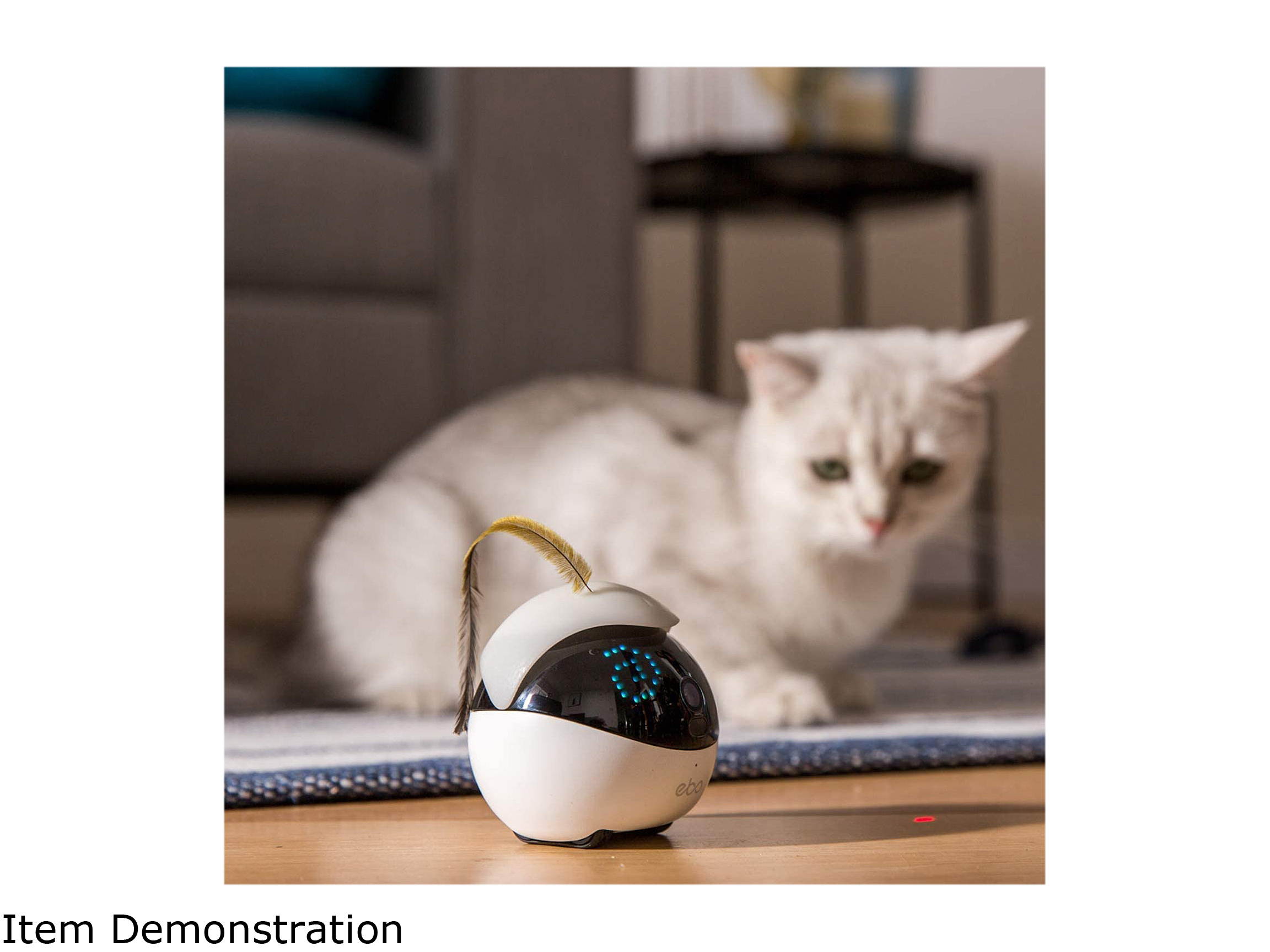 Enabot Ebo Familybot: Your Moving Camera at Home