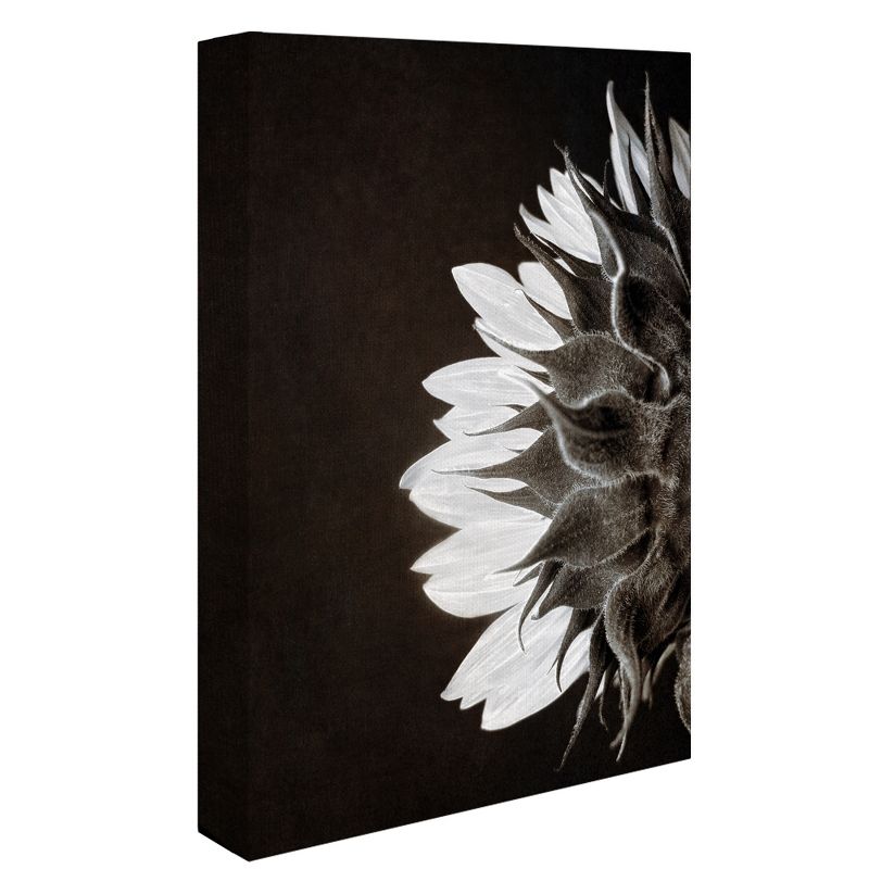 24"x36" Sunflower Profile By Ilona Wellman Art On Canvas - Fine Art Canvas