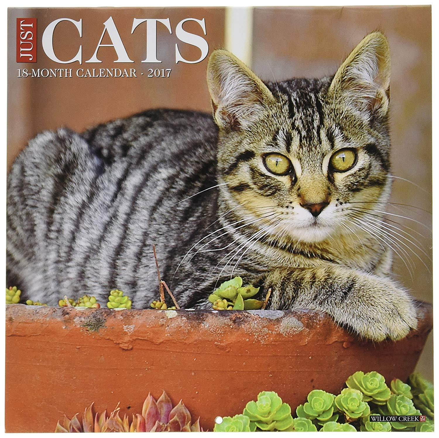 Cats 2017 Wall Calendar