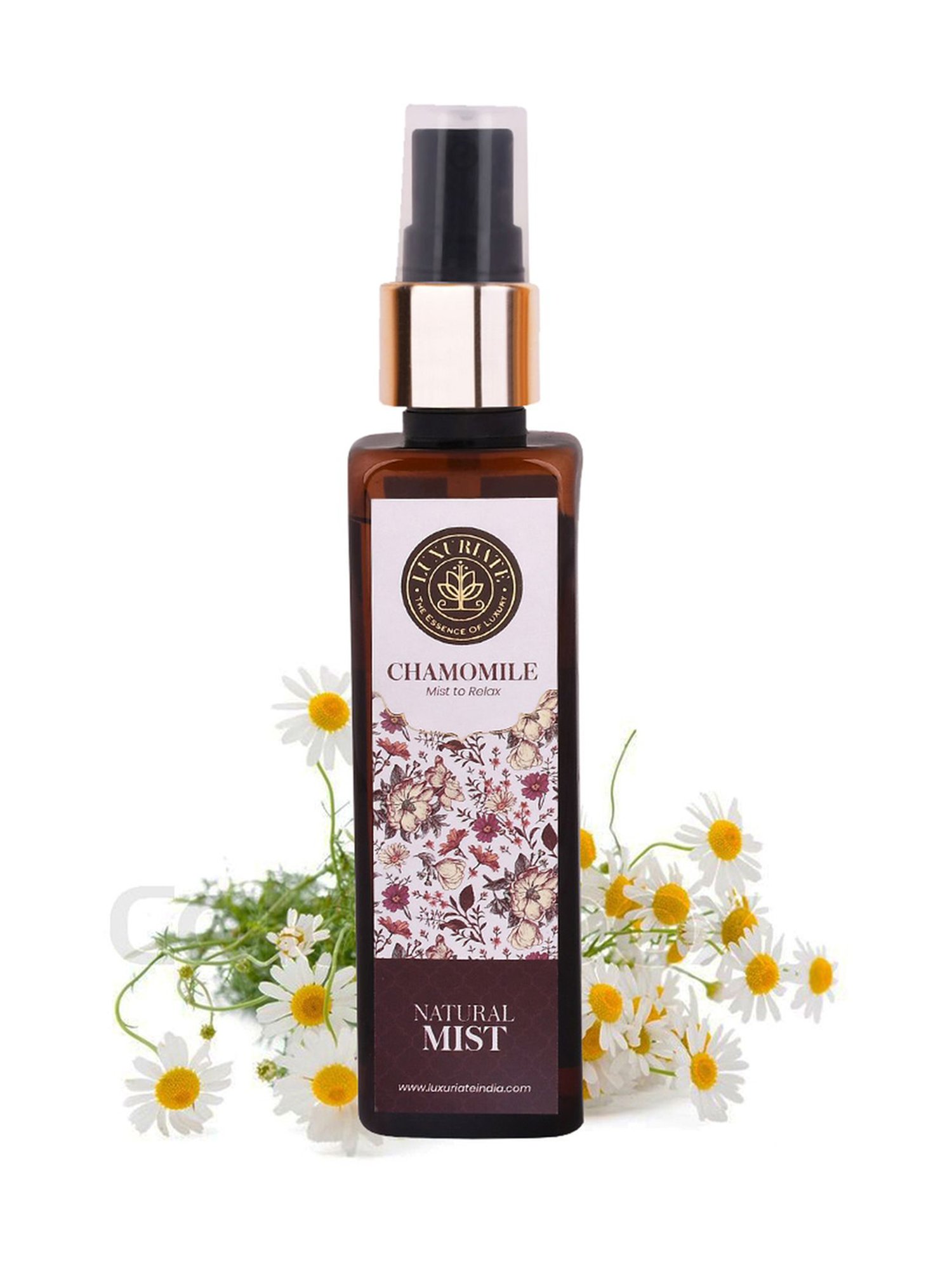 mCaffeine Coffee Face Moisturizer and Body Lotion for Complete Winter Care Combo