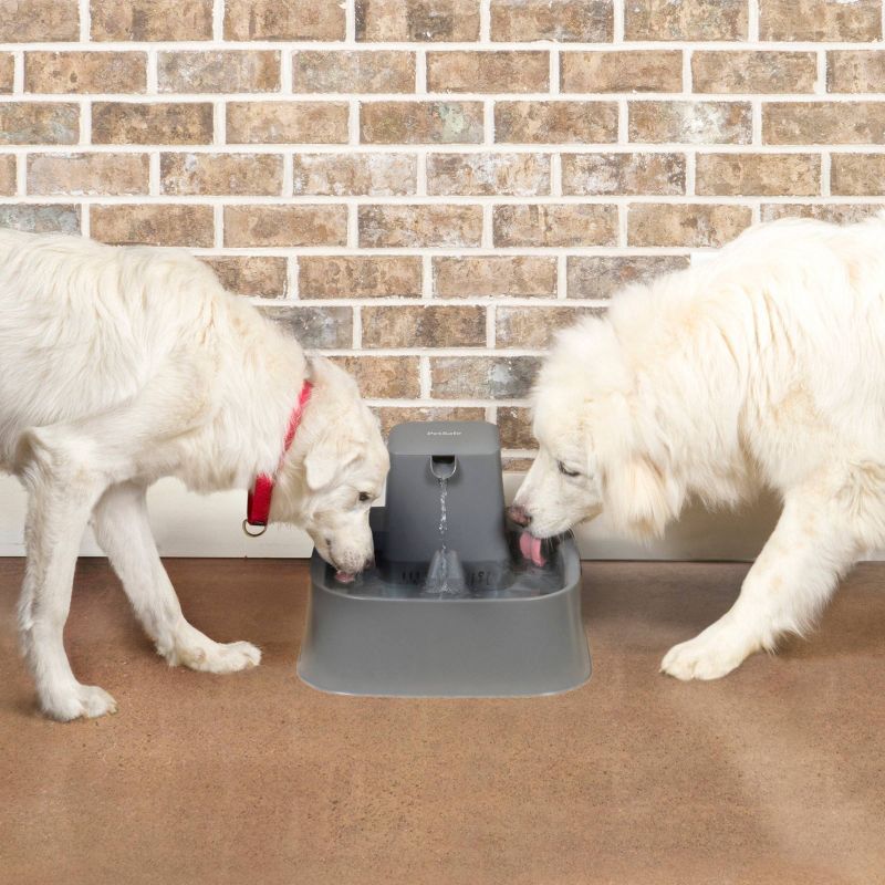 PetSafe Drinkwell Pet Fountain - Gray