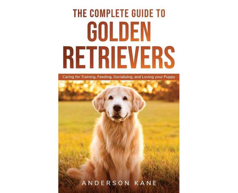 Behold the Personal Maine Coon - by  Phyllis Stiebens (Paperback)