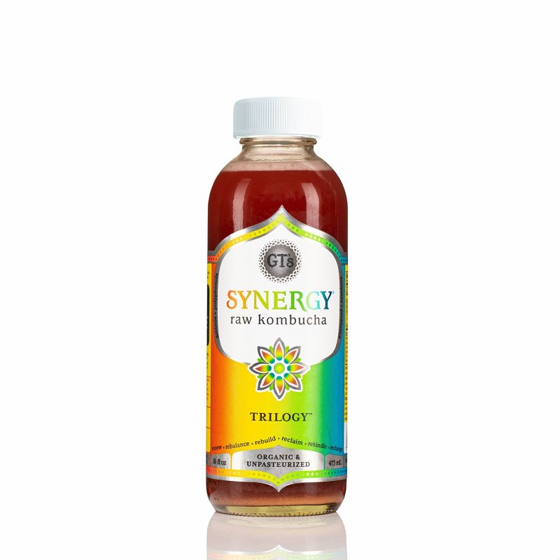G.T.'s Synergy Trilogy Organic Vegan Raw Kombucha - 16 fl oz Bottle