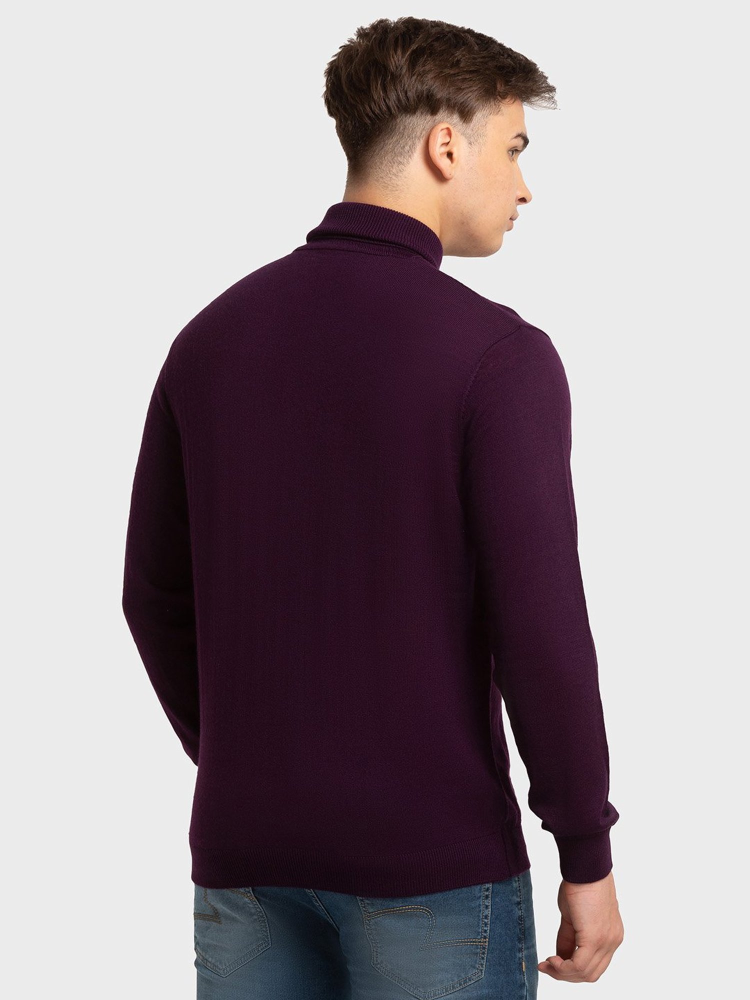 ColorPlus Purple Tailored Fit Sweaters