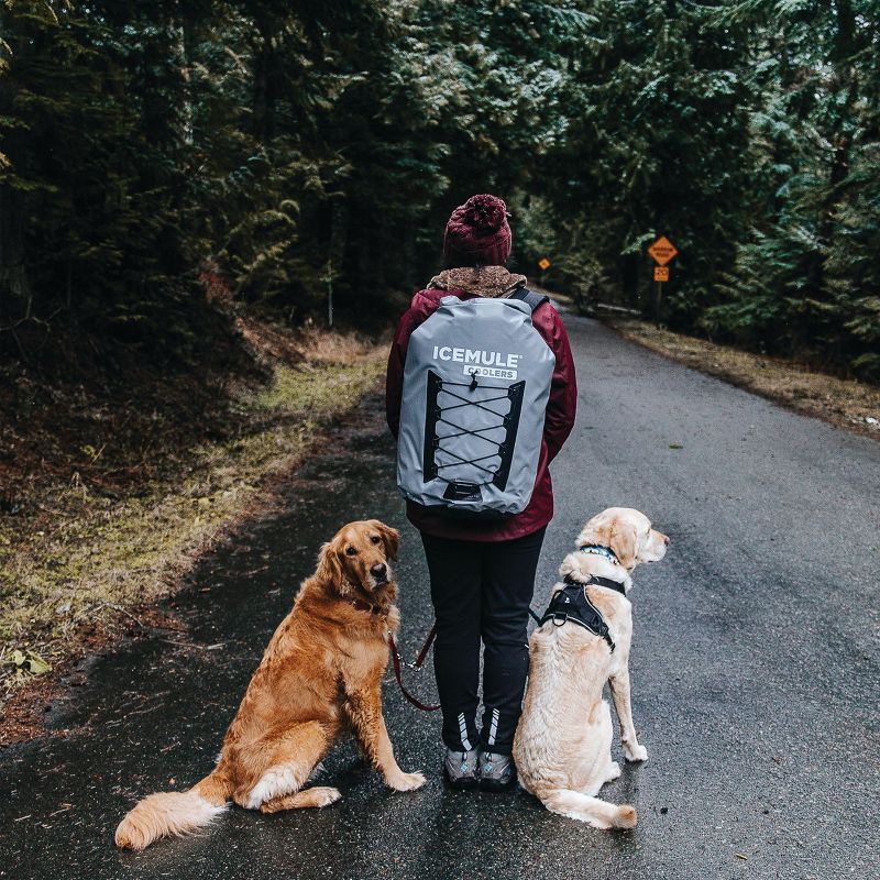 IceMule 1015-Grey Pro XLarge Collapsible Portable Soft Sided Roll Top 33 Liter 24 Can Lightweight Insulated Waterproof Backpack Cooler