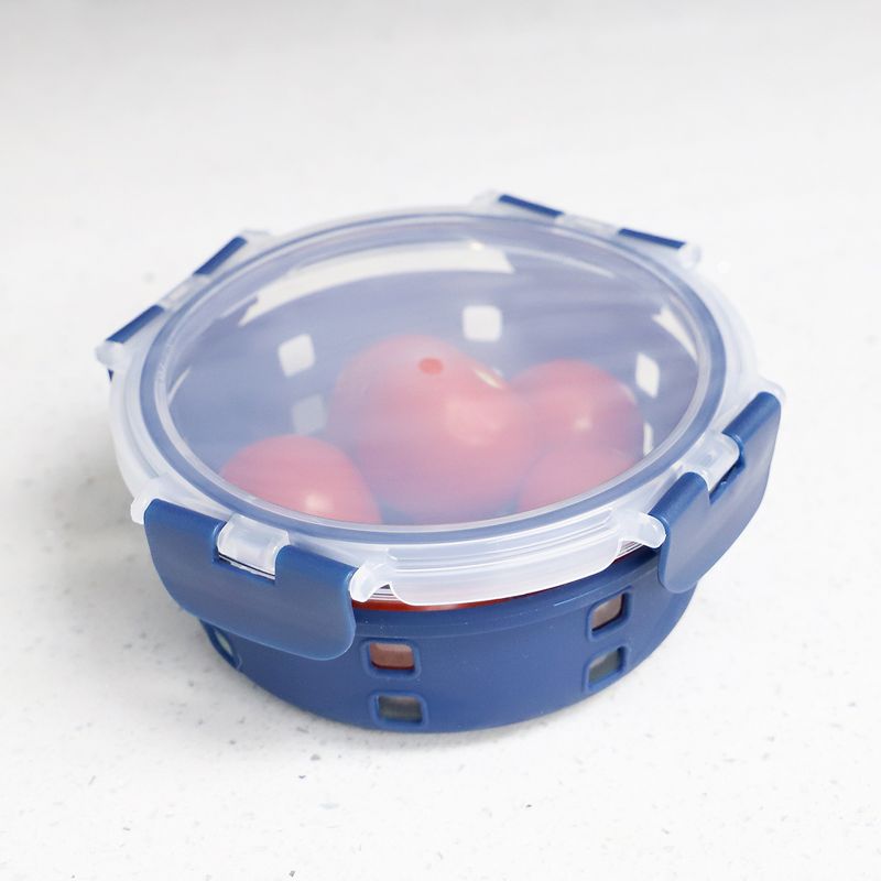 Michael Graves Design Round 21 Ounce High Borosilicate Glass Food Storage Container with Plastic Lid, Indigo